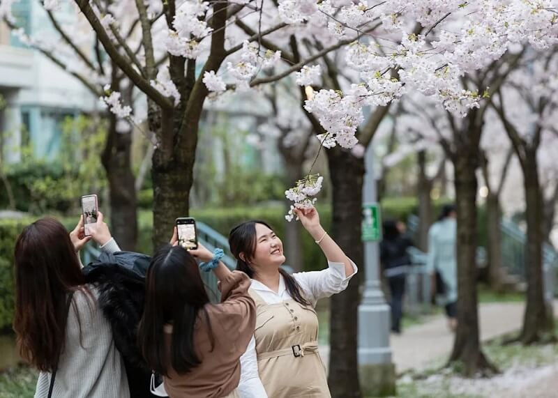 TD downgrades BCE, Rogers, Telus as wireless price war intensifies